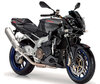 Motorcykel Aprilia RSV 1000 Tuono (2006 - 2009) (2006 - 2009)