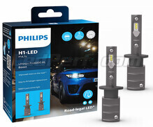 H1 LED-pærer Philips ULTINON Pro6000 BOOST Godkendte - 11258U60BX2