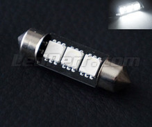 Hvide LED-pinolpære 39mm - C7W